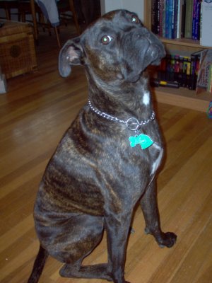 Jack