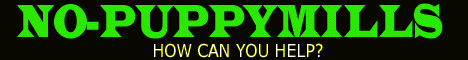 Please visit Nopuppymills.com to learn the facts and how you can begin making a difference.  Thank you.