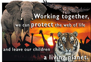 Living Planet