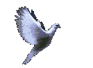flying dove as it appears on many web pages