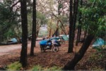 Rally site, this year at Willis.