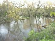 Arroyo Mosquitos