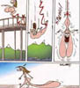 YBUNGEE