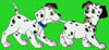 wc_disneydalma0027