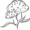 wc_food0025