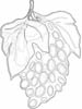 wc_food0048