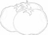 wc_food0058