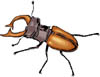 wc_insekten0005