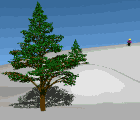 skiaccident.gif (38354 bytes)