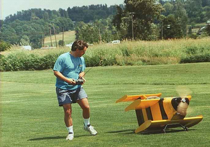 Flying BumbleBee!