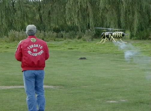 Sand Hills Hornet