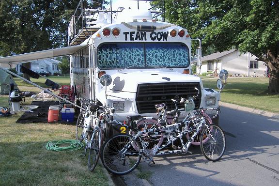 Team Cow