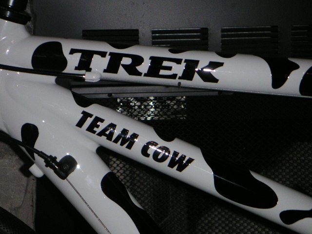 Team Cow