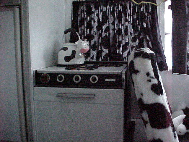 Got to have a stove