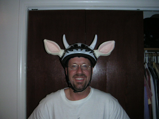 Team Cow Head Gear