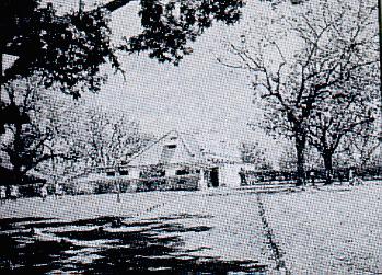 Loyola