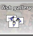fish gallery
