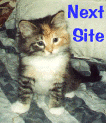 ring2.gif (13176 bytes)