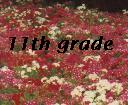 11th Grade--Access