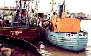 ingepescosodocknew.jpg