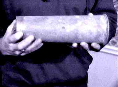 shellcadmus1100.jpg