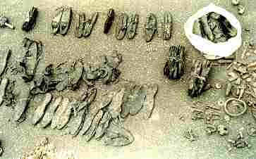 coins295.jpg