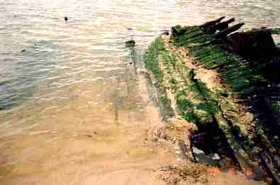 foxbeach19.jpg
