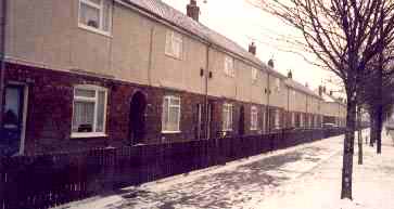 biltongrove.jpg