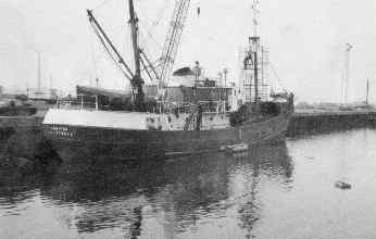 doridaindock95.jpg