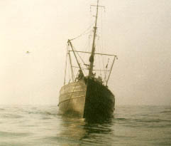 fame3atsea.jpg