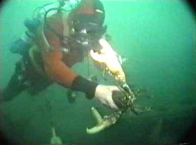 benboat3new.jpg