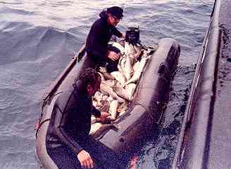 fishinboatjeb50.jpg
