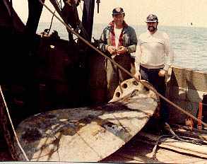 bronzepropterryeddie95.jpg