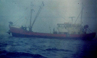 corneliusfog6.jpg