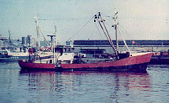 cornelusdock5.jpg