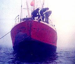 corneluspropatsea5.jpg