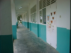 Down the Corridor