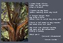 Animal Riddle
