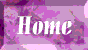 home button
