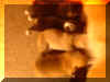DSC02448.JPG (18469 bytes)