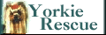 Yorkshire Terrier National Rescue, Inc