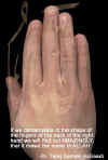 hand.jpg (18364 bytes)