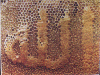 honeybee.gif (74836 bytes)