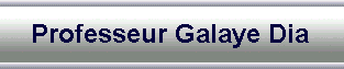 Professeur Galaye Dia