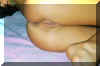 ass2.jpg (10173 byte)
