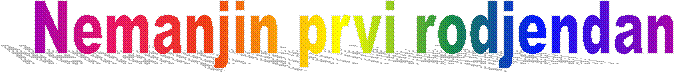 Nemanjin prvi rodjendan