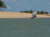 gl14.jpg (42919 bytes)
