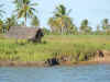 maceio12.jpg (105016 bytes)