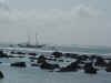 natal02.jpg (51421 bytes)