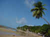 natal03.jpg (56827 bytes)